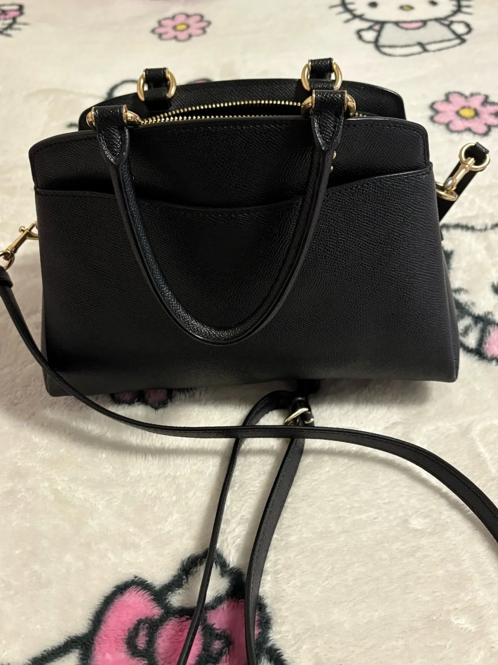 Coach mini Lillie carryall